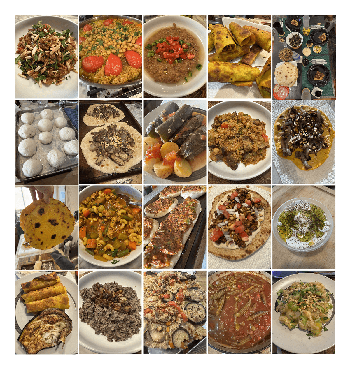 A variety of Palestinian dishes we've cooked together